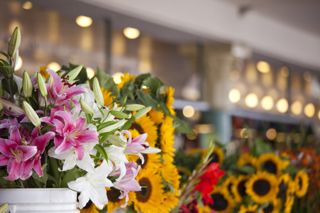 Flowers representing SMS marketing Mother's Day campaign